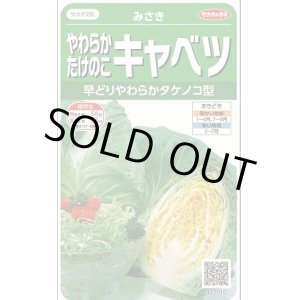 画像: 送料無料　[キャベツ]　みさき　約75粒　(株)サカタのタネ　実咲450（002917）