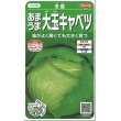 画像1: 送料無料　[キャベツ]　冬藍　　(株)サカタのタネ　実咲450（002918） (1)