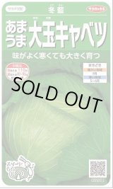 画像: 送料無料　[キャベツ]　冬藍　　(株)サカタのタネ　実咲450（002918）