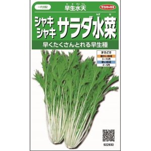 画像: 送料無料　[葉物]　みず菜　早生水天　約1200粒　(株)サカタのタネ　実咲350（002964）