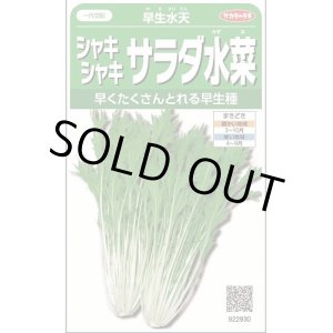 画像: 送料無料　[葉物]　みず菜　早生水天　約1200粒　(株)サカタのタネ　実咲350（002964）