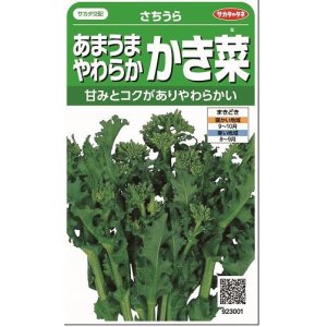 画像: 送料無料　[葉物]　かき菜　さちうら　約800粒　(株)サカタのタネ　実咲350（002967）