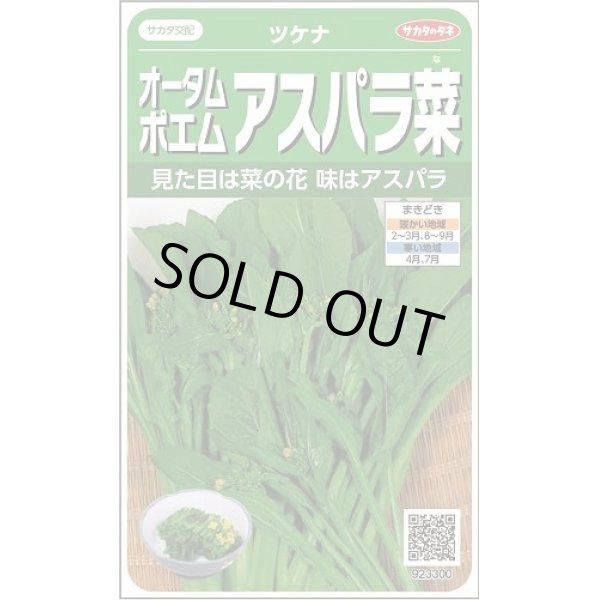 画像1: 送料無料　[葉物]　オータムポエム　約260粒　(株)サカタのタネ　実咲450（002990） (1)