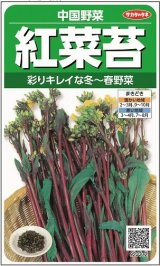 画像: 送料無料　[中国野菜]　紅菜苔　約2000粒　(株)サカタのタネ　実咲250（002995）