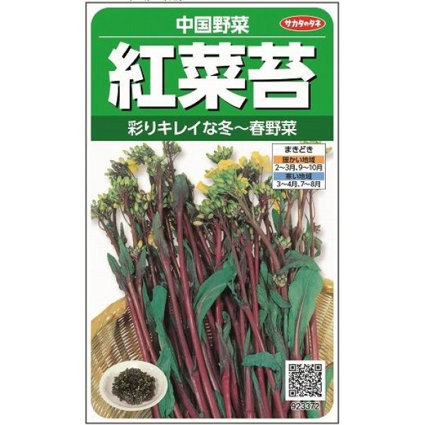 画像1: 送料無料　[中国野菜]　紅菜苔　約2000粒　(株)サカタのタネ　実咲250（002995） (1)