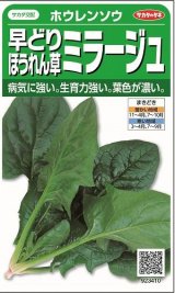 画像: 送料無料　[ほうれんそう]　ミラージュ　約750粒　(株)サカタのタネ　実咲250（003007）