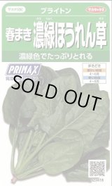 画像: 送料無料　[ほうれんそう]　ブライトン　約900粒　(株)サカタのタネ　実咲350（003009）