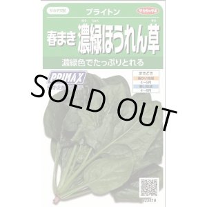 画像: 送料無料　[ほうれんそう]　ブライトン　約900粒　(株)サカタのタネ　実咲350（003009）