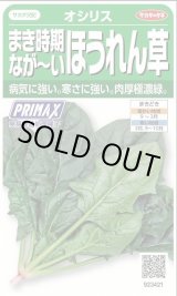 画像: 送料無料　[ほうれんそう]　オシリス　約900粒　(株)サカタのタネ　実咲350（003011）