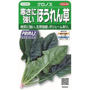 画像: 送料無料　[ほうれんそう]　クロノス　約900粒　(株)サカタのタネ　実咲350（003012）