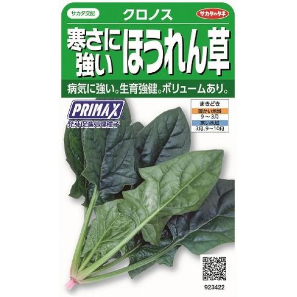 画像1: 送料無料　[ほうれんそう]　クロノス　約900粒　(株)サカタのタネ　実咲350（003012） (1)