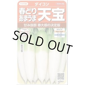 画像: 送料無料　[大根]　天宝　約130粒　(株)サカタのタネ　実咲450（003064）