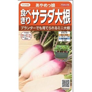 画像: 送料無料　[大根]　ミニダイコン　あやめっ娘　約130粒　(株)サカタのタネ　実咲450（003075）