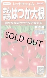 画像: 送料無料　[大根]　はつかだいこん　レッドチャイム　約350粒　(株)サカタのタネ　実咲350（003093）