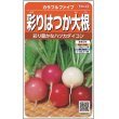 画像1: 送料無料　[大根]　はつかだいこん　カラフルファイブ　約350粒　(株)サカタのタネ　実咲250（003094） (1)