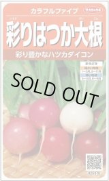 画像: 送料無料　[大根]　はつかだいこん　カラフルファイブ　約350粒　(株)サカタのタネ　実咲250（003094）