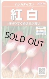 画像: 送料無料　[大根]　はつかだいこん　紅白　約525粒　(株)サカタのタネ　実咲250（003095）