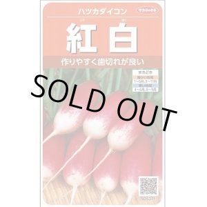 画像: 送料無料　[大根]　はつかだいこん　紅白　約525粒　(株)サカタのタネ　実咲250（003095）