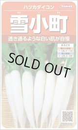 画像: 送料無料　[大根]　はつかだいこん　雪小町　約550粒　(株)サカタのタネ