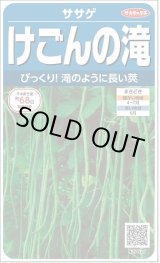 画像: 送料無料　[豆類]　ササゲ　けごんの滝　約35粒　(株)サカタのタネ実咲250（003126）