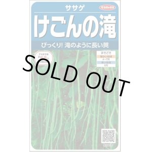 画像: 送料無料　[豆類]　ササゲ　けごんの滝　約35粒　(株)サカタのタネ実咲250（003126）