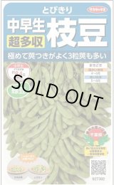 画像: 送料無料　[枝豆]　とびきり　約40粒　(株)サカタのタネ　実咲350（003156）