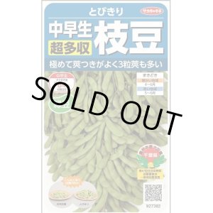 画像: 送料無料　[枝豆]　とびきり　約40粒　(株)サカタのタネ　実咲350（003156）