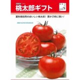 画像: 送料無料　[トマト/桃太郎系]　桃太郎ギフト　1000粒　貴種(コートしてません)　タキイ種苗(株)