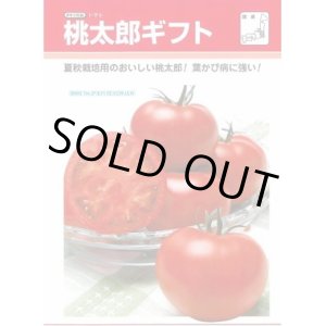 画像: 送料無料　[トマト/桃太郎系]　桃太郎ギフト　1000粒　貴種(コートしてません)　タキイ種苗(株)