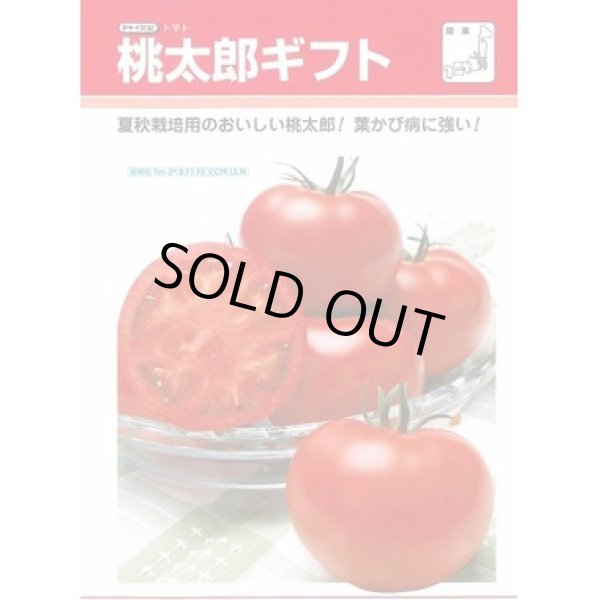 画像3: 送料無料　[トマト/桃太郎系]　桃太郎ギフト　1000粒　2L　ペレット種子　タキイ種苗(株) (3)