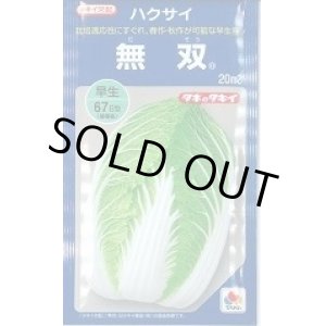 画像: 送料無料　[白菜]　無双　20ml　タキイ種苗(株)