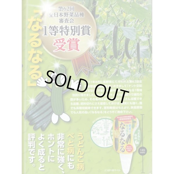 画像3: 送料無料　[キュウリ]　なるなる　18粒　ナント種苗(株) (3)