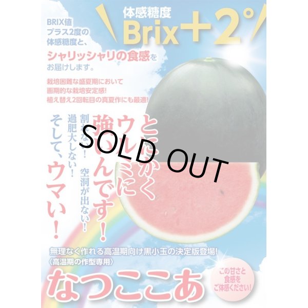 画像2: 送料無料　[スイカ]　小玉スイカ　なつここあ　200粒　ナント種苗(株) (2)