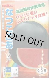 画像: 送料無料　[スイカ]　小玉スイカ　なつここあ　200粒　ナント種苗(株)