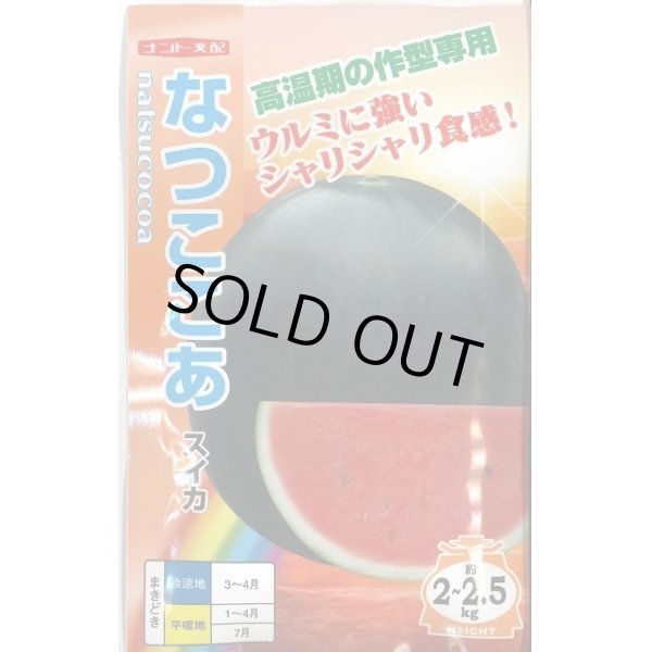 画像1: 送料無料　[スイカ]　小玉スイカ　なつここあ　200粒　ナント種苗(株) (1)