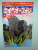 画像: 送料無料　[中国野菜]　チンゲンサイ　ニイハオ・フォン(赤チンゲンサイ)　5万粒　渡辺農事(株)