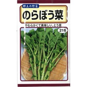 画像: 送料無料　[葉物]　のらぼう菜　10ml　(およそ2,880粒)(株)　トーホク