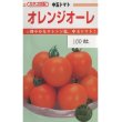 画像1: 送料無料　[トマト/中玉トマト]　オレンジオーレ　100粒　カネコ交配 (1)