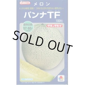 画像: 送料無料　[メロン]　パンナＴＦ　100粒　タキイ種苗(株)