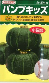 画像: 送料無料　[かぼちゃ]　ミニカボチャ　パンプキッズ　100粒　カネコ交配