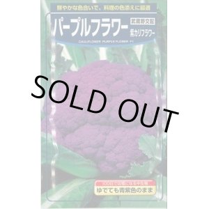 画像: 送料無料　[カリフラワー]　パープルフラワー　コート　1000粒　武蔵野交配