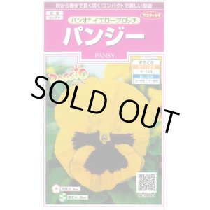 画像: 送料無料　花の種　パンジー　パシオ　イエローブロッチ　約34粒　(株)サカタのタネ　実咲350（026141）