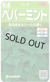 画像: 送料無料　[ハーブの種]　ペパーミント　約1300粒　(株)サカタのタネ　実咲（003190）