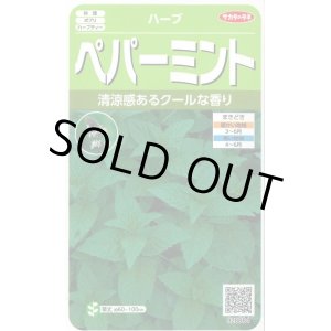 画像: 送料無料　[ハーブの種]　ペパーミント　約1300粒　(株)サカタのタネ　実咲（003190）