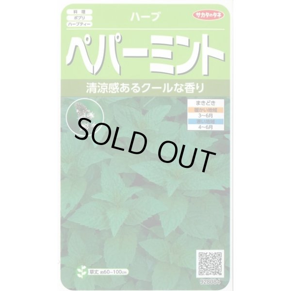 画像1: 送料無料　[ハーブの種]　ペパーミント　約1300粒　(株)サカタのタネ　実咲（003190） (1)