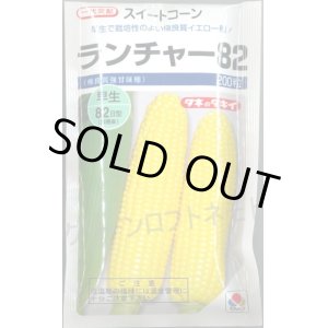 画像: 送料無料　[とうもろこし]　ランチャー82　200粒　タキイ種苗