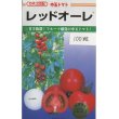 画像1: 送料無料　[トマト/中玉トマト]　レッドオーレ　100粒　カネコ交配 (1)