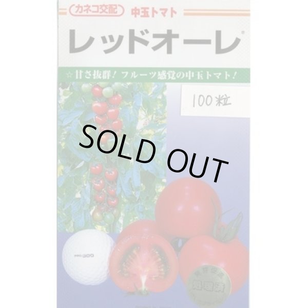 画像1: 送料無料　[トマト/中玉トマト]　レッドオーレ　100粒　カネコ交配 (1)