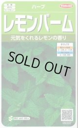 画像: 送料無料　[ハーブの種]　レモンバーム　約700粒　(株)サカタのタネ　実咲（003193）