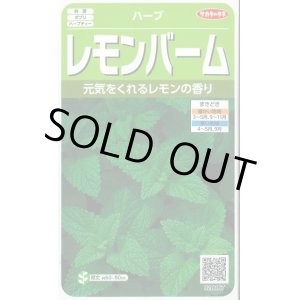 画像: 送料無料　[ハーブの種]　レモンバーム　約700粒　(株)サカタのタネ　実咲（003193）